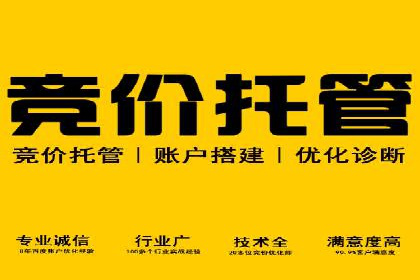 充值高返点策略：成功案例分析与解读